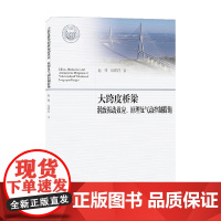 大跨度桥梁涡致振动效应 原理及气动控制措施 赵林 著 建筑