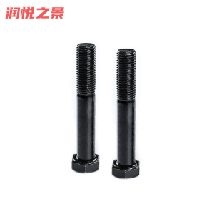 润悦之景 六角螺栓 M16*100 个