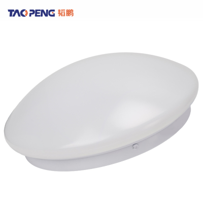 韬鹏 LED三防 吸顶灯18W-直径230mm 个 个