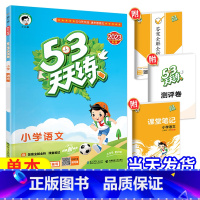 [天天练]语文—人教版 五年级下 [正版]2023新53天天练西师版数学一年级二年级三年级四年级五年级六年级上册下册小学