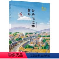 白马飞过的童年 [正版]白马飞过的童年 吴洲星 著 儿童文学6-12周岁小学生一二三四五六年级课外阅读经典文学故事书目