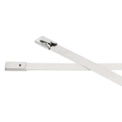 万梓 不锈钢扎带 4.6*800mm 根