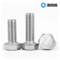 湘恒锐 304不锈钢六角螺栓 12x70 个