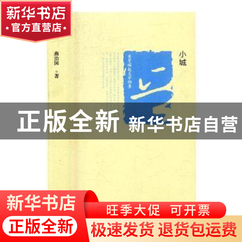 正版 晋军崛起文学档案—小城 燕治国 北岳文艺出版社 9787537847