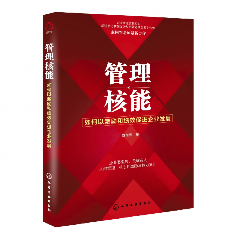 音像管理核能:如何以激励和绩效促进企业发展赵国军 著