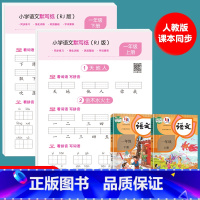 [一年级上册+下册]语文默写纸 [正版]小学语文默写纸一年级二三年级上下册看拼音写词语生字注音练习册小学生默写能手人教版