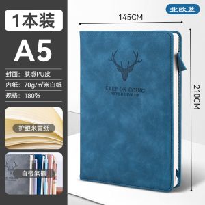 真彩商务笔记本子a5超厚皮面新款记事本软皮质办公会议用记录本子
