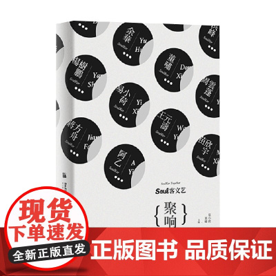 soul客文艺 聚响 易小荷等 著 文学作品集