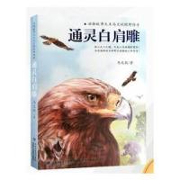 正版新书]通灵白肩雕(动物故事大王马文秋探野传奇)马文秋|责编: