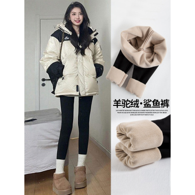 加绒鲨鱼裤女外穿新款加厚保暖棉裤秋冬季大码瘦腿瑜伽打底裤_378