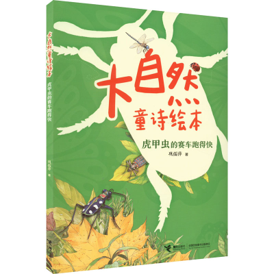 正版新书]虎甲虫的赛车跑得快巩孺萍9787544876162