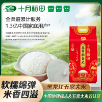 十月稻田五常大米5kg真空装10斤东北大米粳米2024年新米