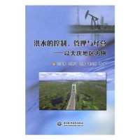 音像洪水的控制、管理与经营:以大庆地区为例闫成璞等著