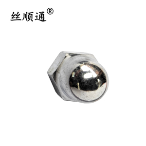 丝顺通 六角盖形螺母 M10/个