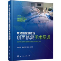 音像常见慢难愈创面修复手术图谱周业平,满忠亚,刘志主编