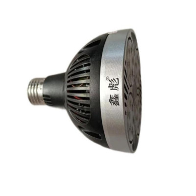 鑫彪20W P30光源/个