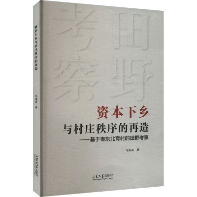 资本下乡与村庄秩序的再造