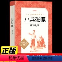 小兵张嘎 [正版]小兵张嘎人民文学出版社徐光耀的书原著五年级必读课外书下册教育小学生红色老师经典故事四六年级上册阅读书籍
