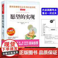 正版注音版愿望的实现二年级下册读课外书单本完整版阅读人教版带拼音童话故事书系列快乐读书吧语文课本