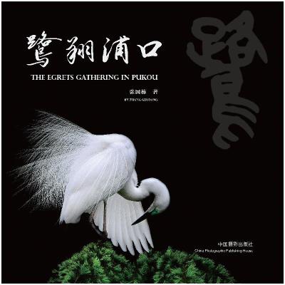 正版新书]九成宫醴泉铭欧阳询9787102074085