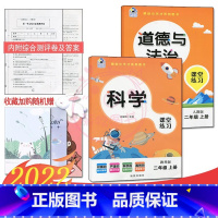 [正版]2023课堂练习家庭作业2二年级上册教科版科学+人教版道德与法治同步练习册课时单元知识梳理专项训练同步训练天天练