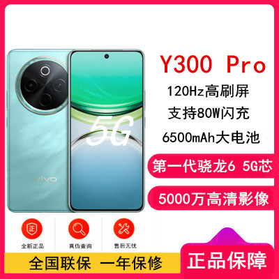 vivo Y300 Pro 金镶玉 8GB+128GB 骁龙6 5G芯 6500mAh电池 80W充电 5000万高清影像 5G 手机