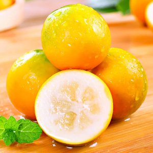 礼盒装[熊猫鸟]广西小金桔 4斤 特大果 约28个/斤 新鲜水果脆甜滑皮冰糖金桔应当季水果