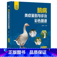 [正版]鹅病类症鉴别与诊治彩色图谱 靖吉强 消化系统疾病鉴定诊断 细菌性疾病 产蛋率 9787111746034 机工