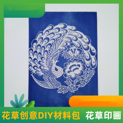 [预售]明鼎教育-花草创意DIY材料包(花草印画,ST020-2)