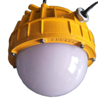 LHDQ 领航电器 LHB8620B-50W 免维护防爆平台灯 冷白 IP66