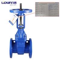 力盾 法兰明杆闸阀 6562 DN200 台