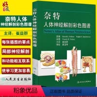 [正版]奈特人体神经解剖图谱 崔益群主译 人民卫生出版社神经解剖解剖学图谱人体解剖书医学解剖图谱 奈特人体解剖彩色图谱