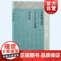清閟阁遗稿友石山人遗稿虚舟集 朔方文库繁体横排上海古籍出版社元明之际重要文学文献中国古典诗歌文学