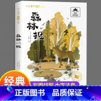 [彩图注音版]森林报 [正版]森林报 比安基著 彩图注音版一二年级阅读课外书带拼音老师书目小学生12课外阅读书籍快乐读