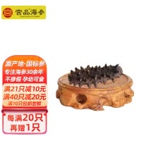 宫品海参家用单只淡干小海参3.5-3.9cm 1只 每满20只赠1只