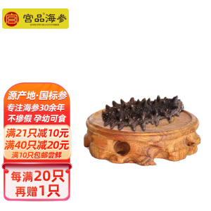 [国标10倍]宫品海参家用单只淡干小海参3.5-3.9cm 1只 每满20只赠1只