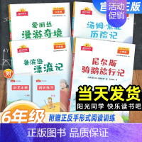 快乐读书吧[4本套] 六年级下 [正版]2024新版阳光同学快乐读书吧六年级下册鲁滨逊漂流记汤姆索亚历险记爱丽丝漫游奇境