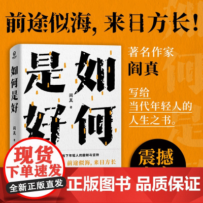 如何是好 “女性版《沧浪之水》”著名作家阎真全新力量书写 当代年轻人的人生之书写尽当下年轻人的困顿与坚持 湖南文艺出版社