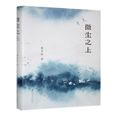 正版新书]微尘之上董贵昕著9787531368038