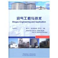 正版新书]沼气工程与技术董仁杰9787565501906
