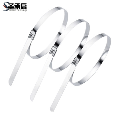 圣承启 铁扎带 7.9*800mm根