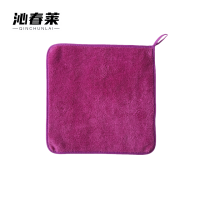 沁春莱加厚珊瑚绒抹布(紫色)30*40cm/条