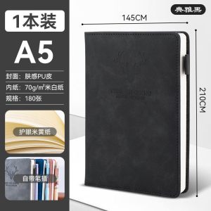真彩商务笔记本子a5超厚皮面新款记事本软皮质办公会议用记录本子