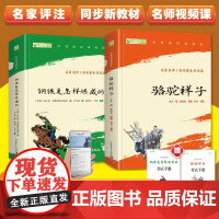 七年级下:骆驼祥子+钢铁是怎样炼成的(套装2册)(赠名师视频课)