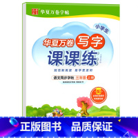 写字课课练.三上 [正版]写字课课练 一二年级三四年级五六年级上册下册语文同步练字帖人教版小学生字帖练字本一课一练字帖硬