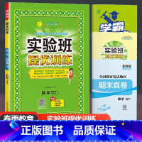 数学 人教版 四年级下 [正版]2024新版实验班提优训练四年级下册数学人教版RJ 小学4年级下同步训练课时练习作业本小