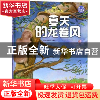 正版 夏天的龙卷风 品悦童书馆编绘 浙江摄影出版社 978755141815