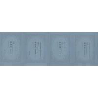 统治者:拿破仑战事史剧(套装1-4册)