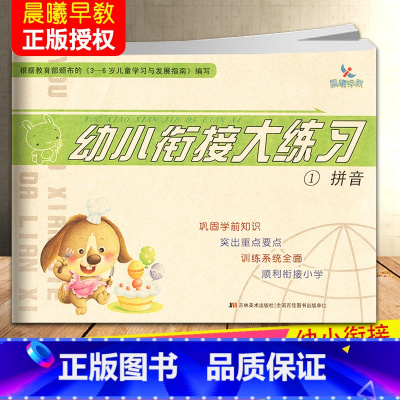拼音 [正版]晨曦早教幼小衔接大练习拼音语言数学10/20以内横式竖式加减法混合运算解决问题幼儿园入学准备练习册一日一练