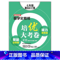 [正版]数学实验班培优大考卷 七年级/7年级(打牢基础)上海教育出版社